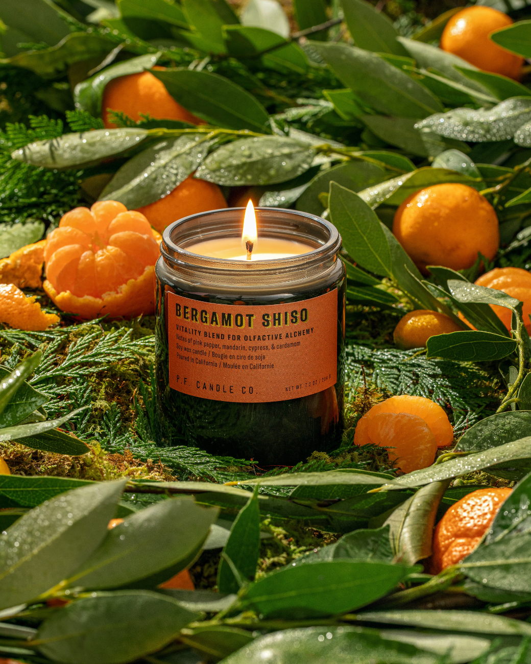 No. 1 Bergamot Shiso Soy Candle